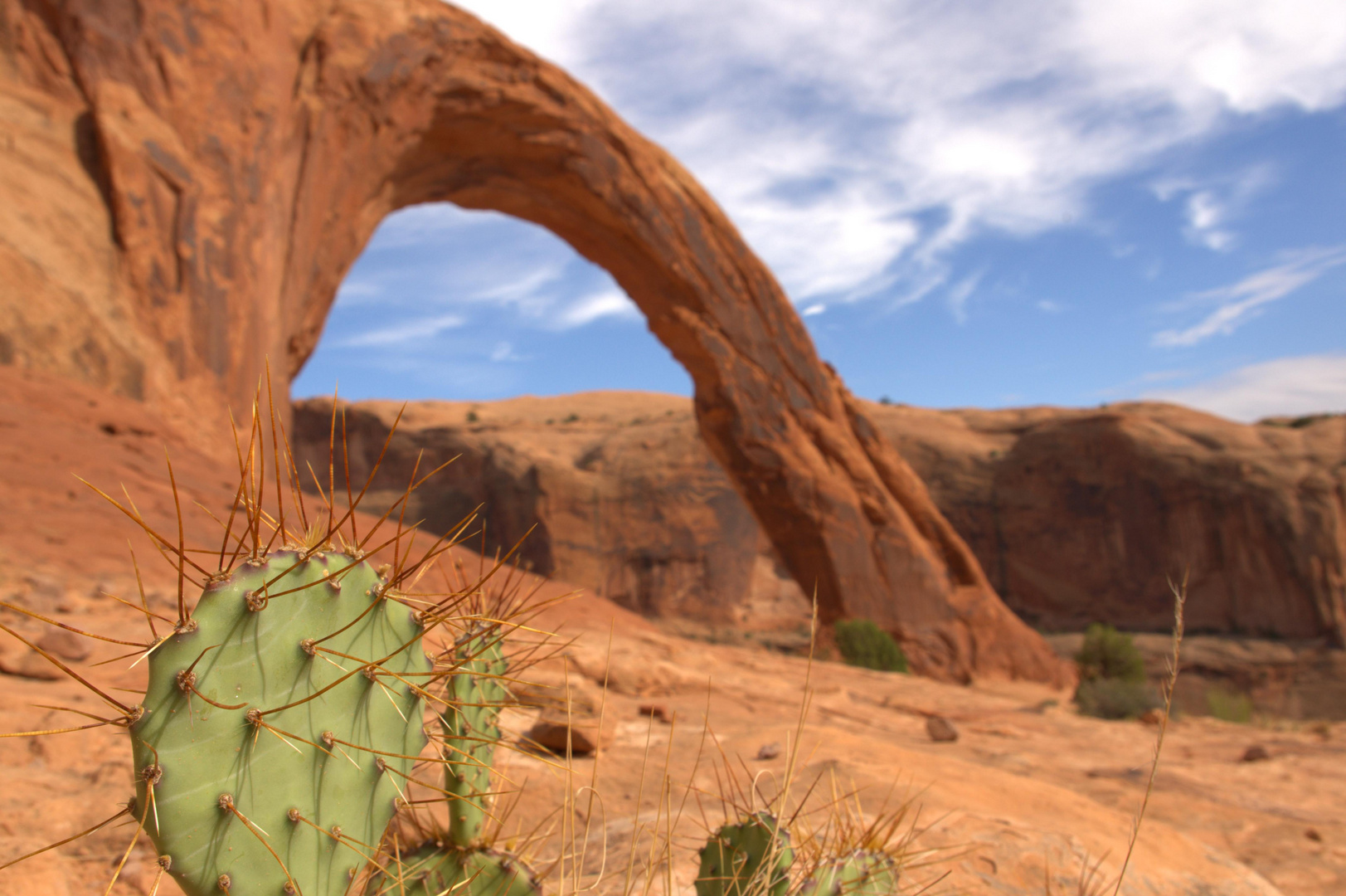 Corona Arch - Utah, USA