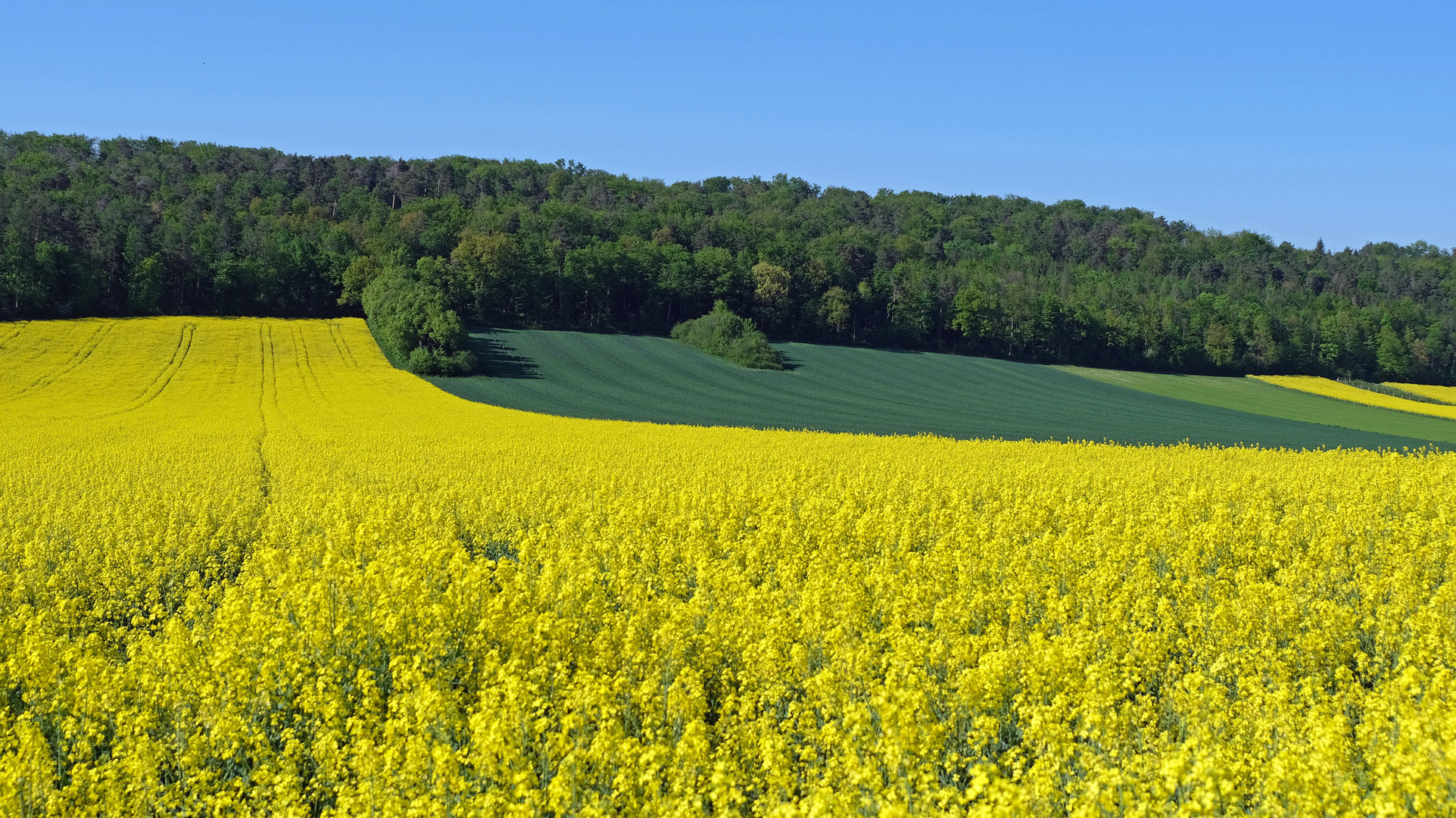 Corona-Frühling