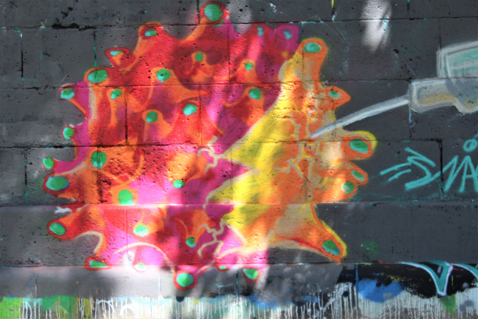 Corona Graffiti in Wien