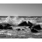 Coronado Beach