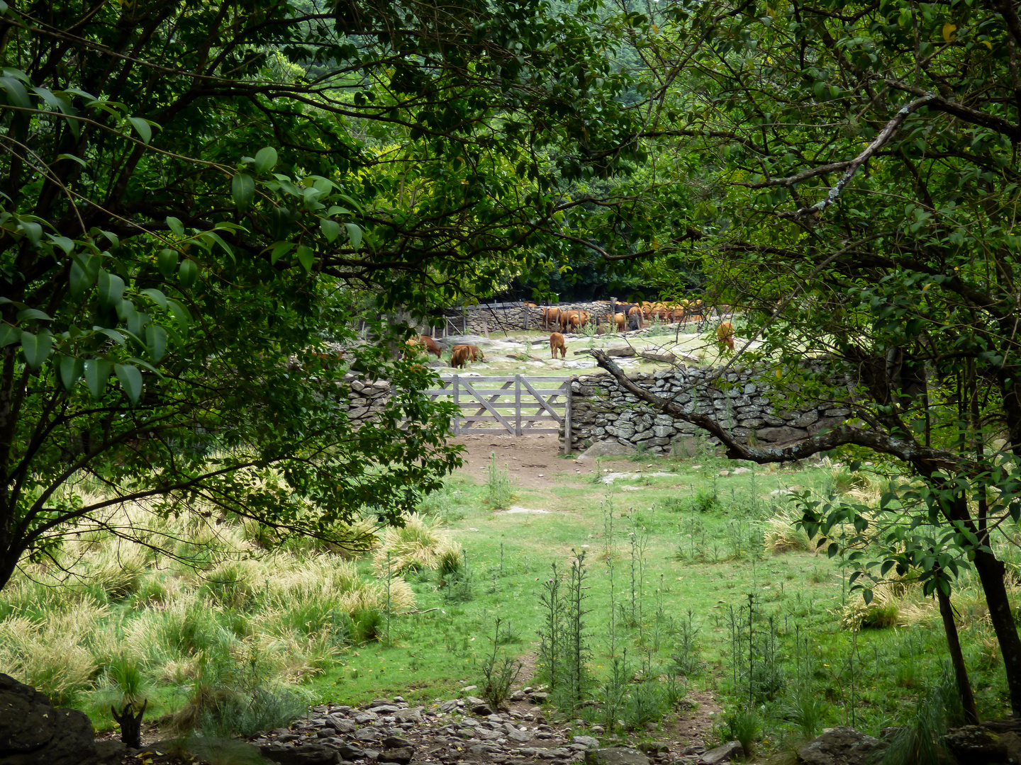 Corral de pircas