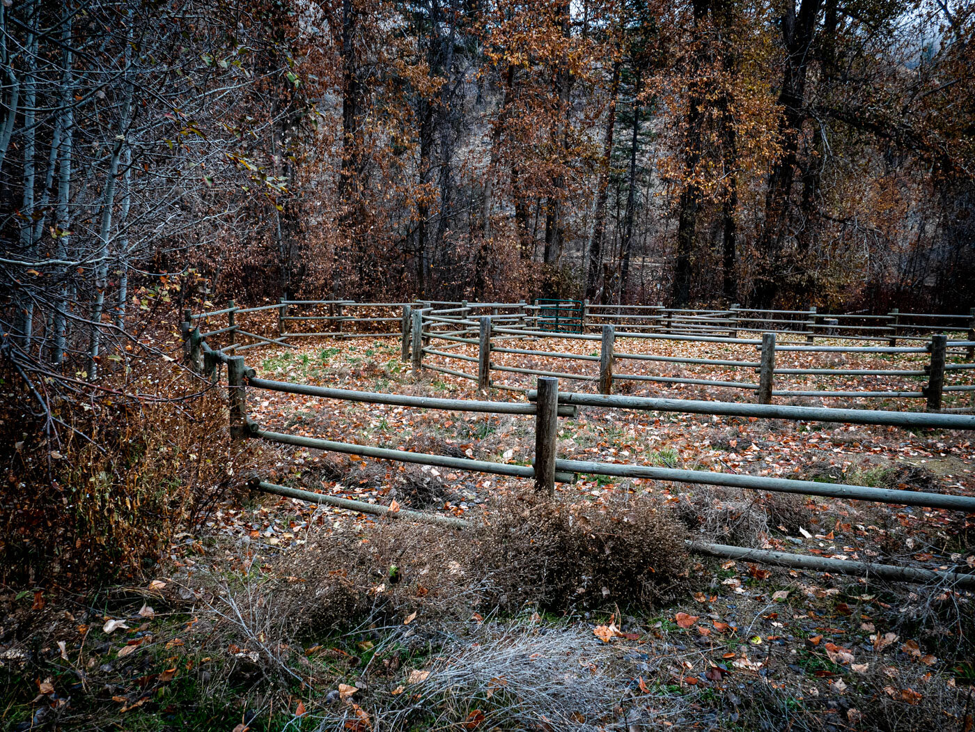 Corral in the Fall