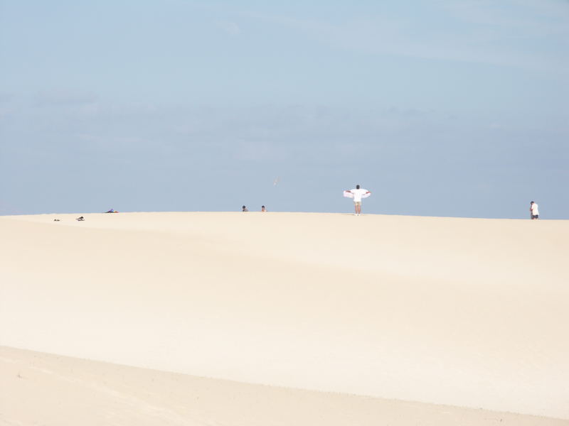 corralejo Ein Augenblick man denke Lielenthal und Fliegen