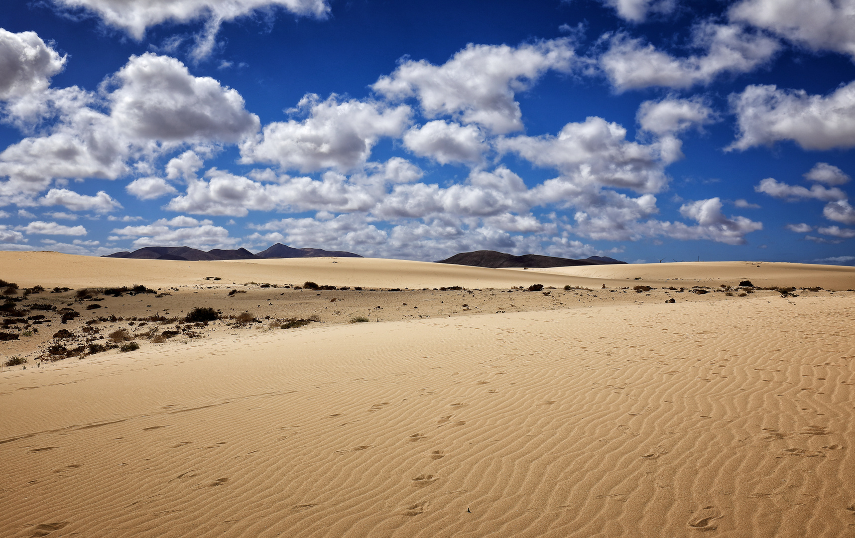 Corralejo National Park