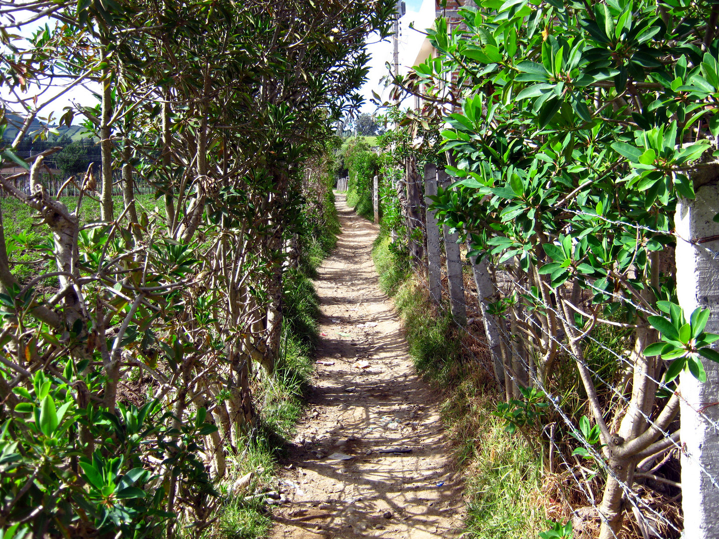 Corregimiento de Cabrera - San Juan de Pasto