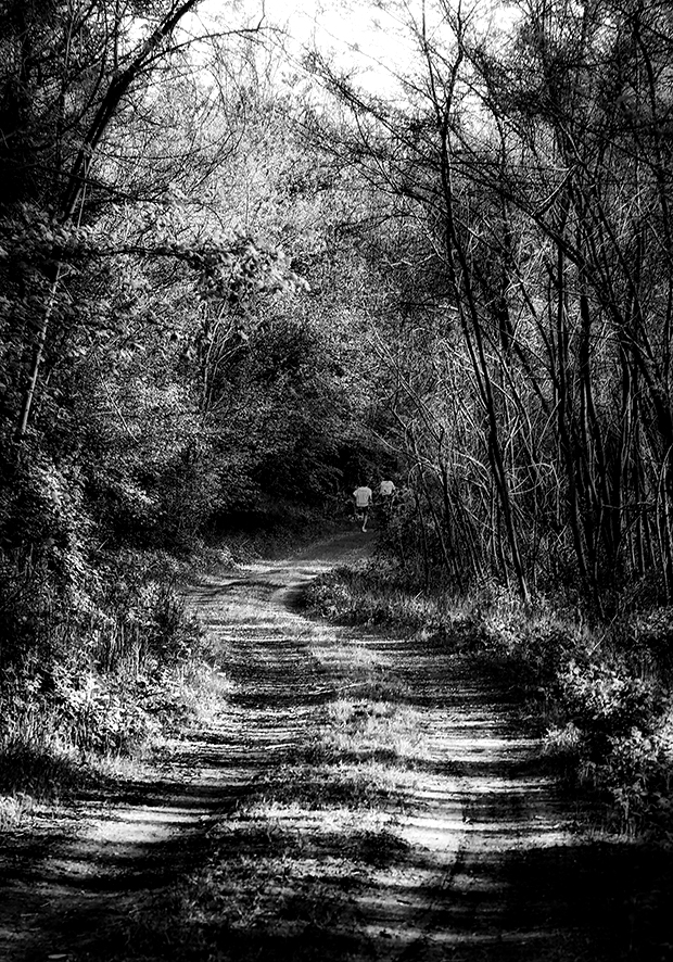 CORRENDO NEL BOSCO