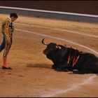 Corrida 19, der Torero verneigt sich vor dem besiegten Stier