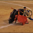 Corrida 21, dicht am Mann