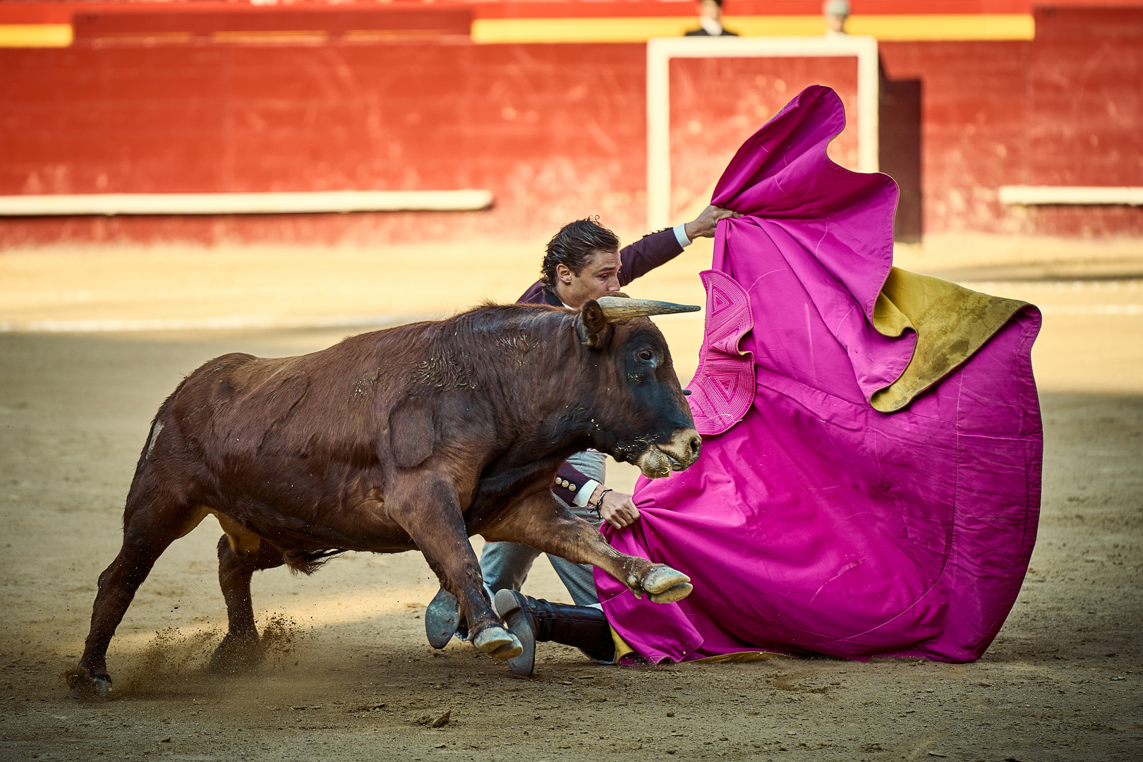 Corrida