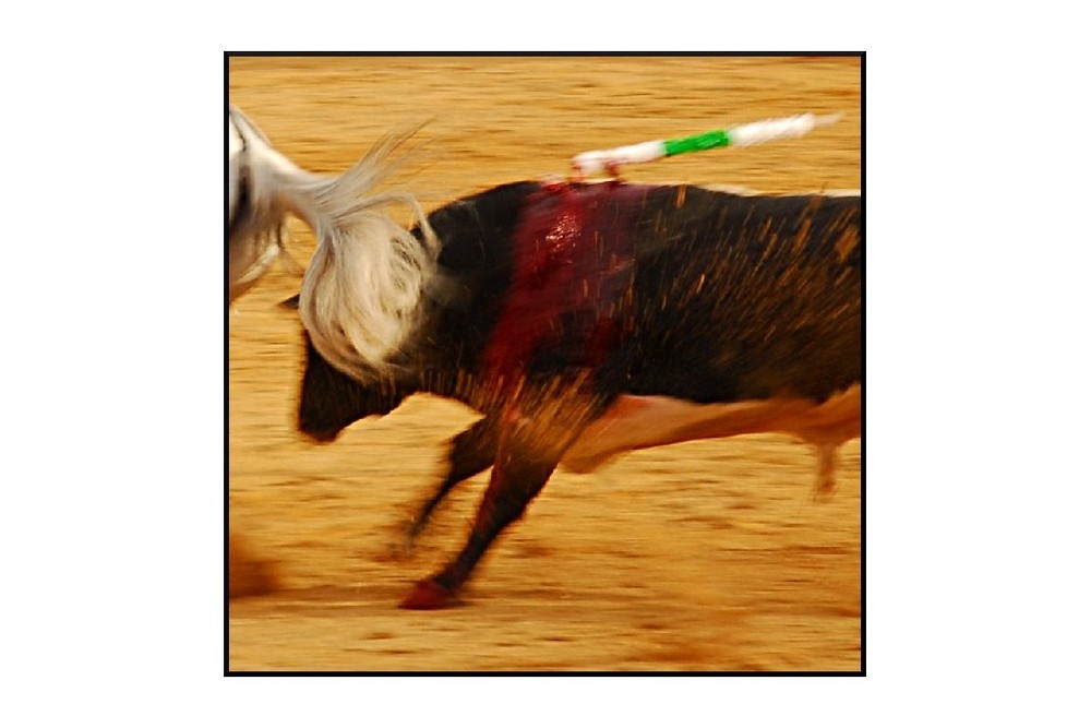 Corrida à Osuna