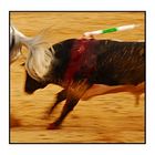 Corrida à Osuna