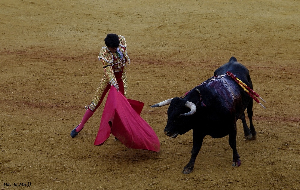 corrida de toros