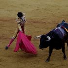 corrida de toros