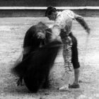 Corrida de Toros, 3,Madrid