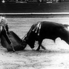 Corrida de Toros,Madrid