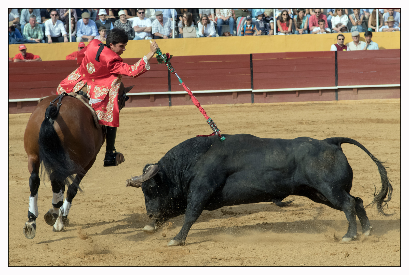 ... Corrida de Tourus ...