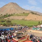 corrida de vacas en huiña - peru