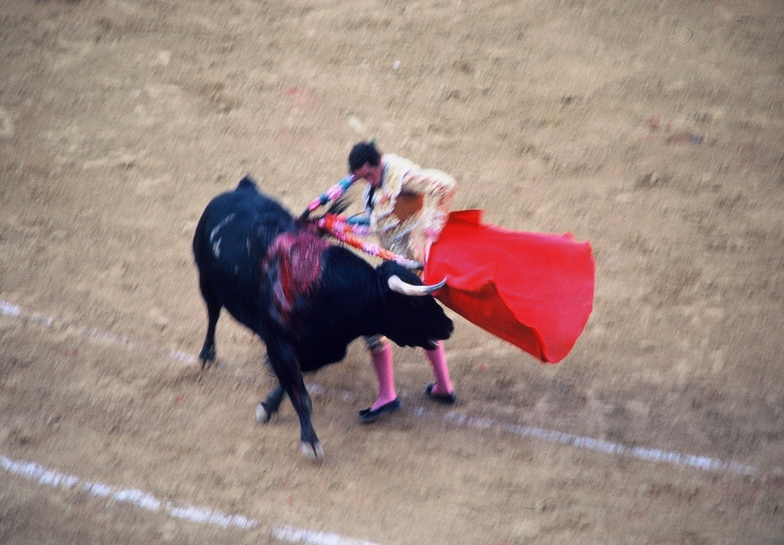 Corrida in Malaga 1