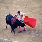 Corrida in Malaga 1