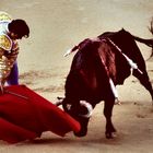 Corridas de Toros en Madrid.