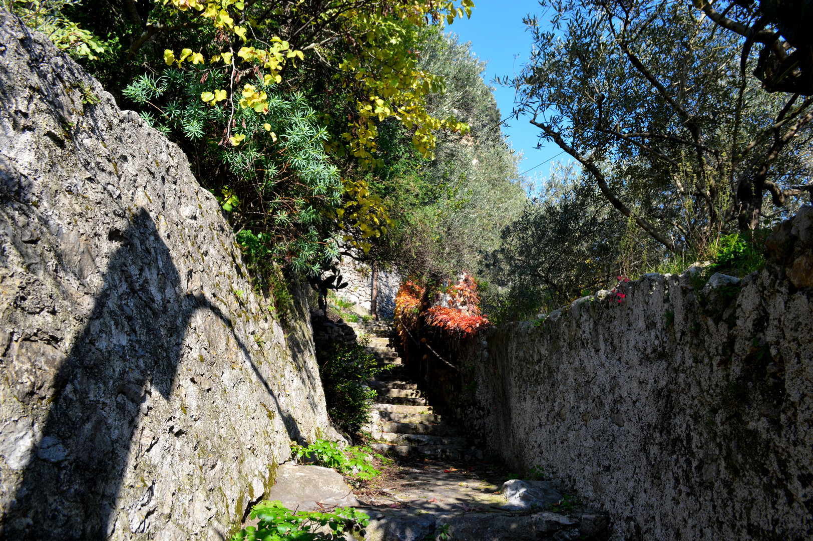 Corridoio verso il paradiso (o quasi)