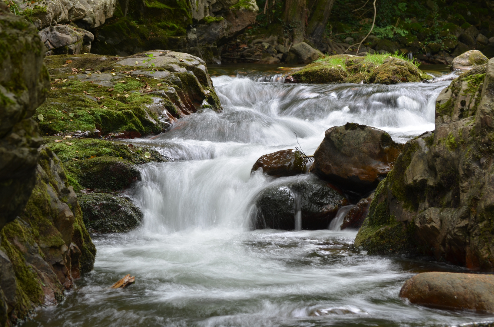 Corriente de agua