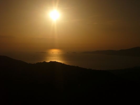 Corse d'Or
