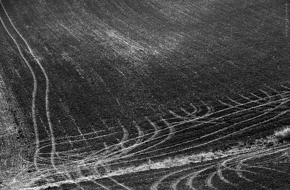 corsi e ricorsi** (Terra Madre)