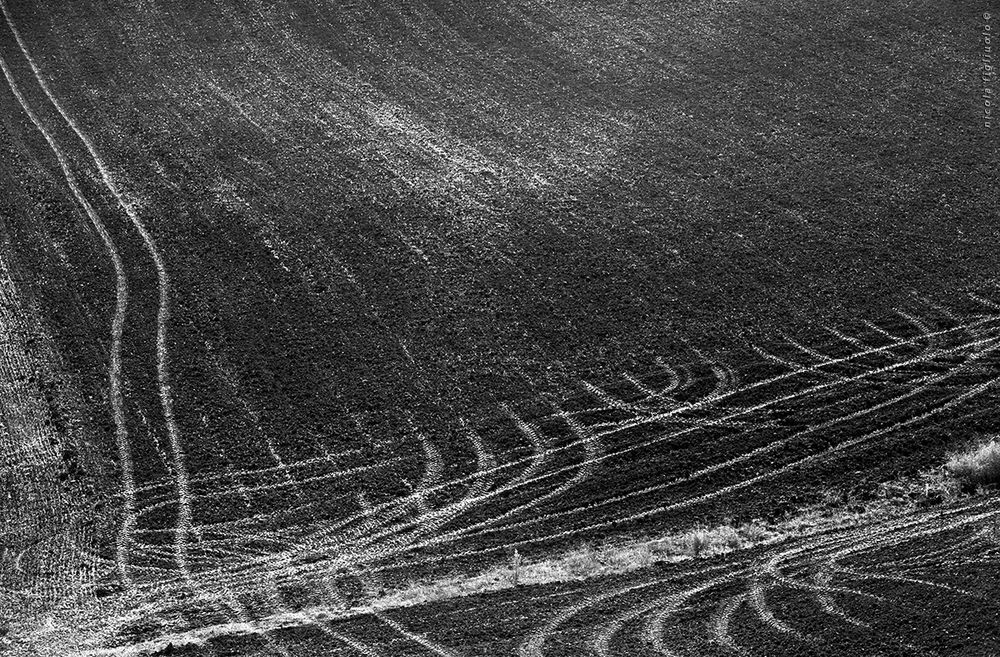 corsi e ricorsi** (Terra Madre)