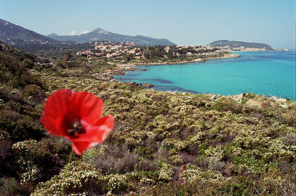 Corsica - 1