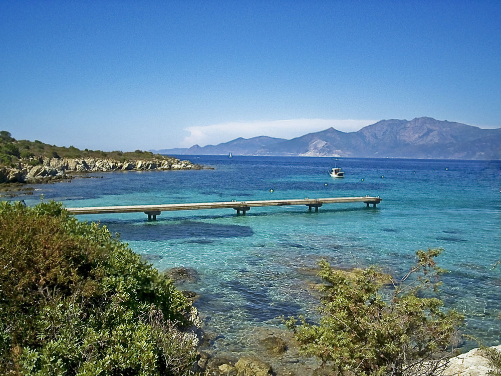 Corsica - Baia di loto 2009