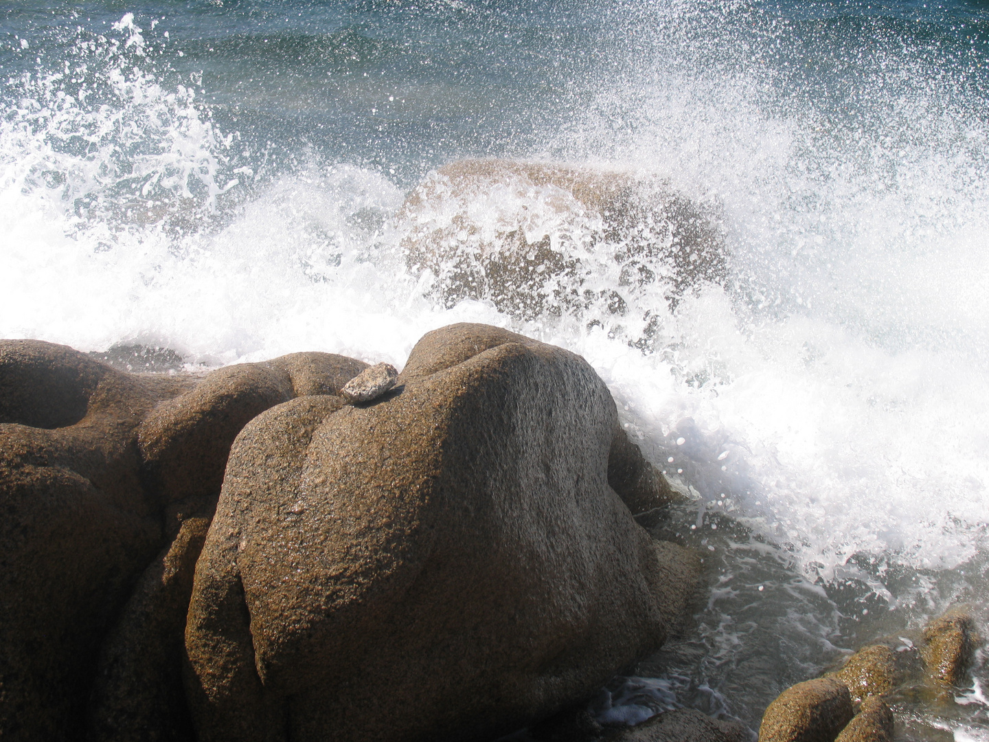 Corsica: Caldarello II