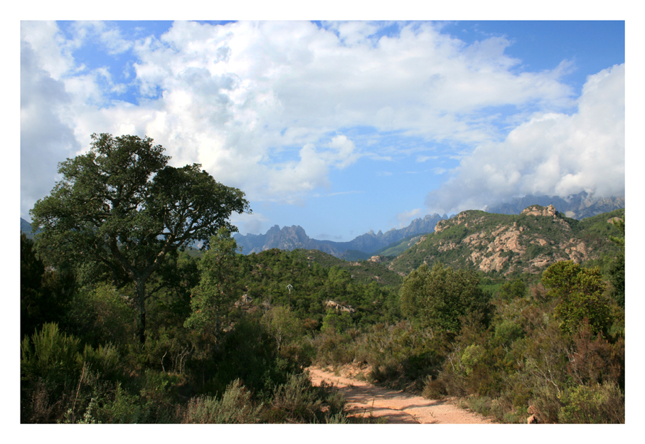 Corsicas Berge