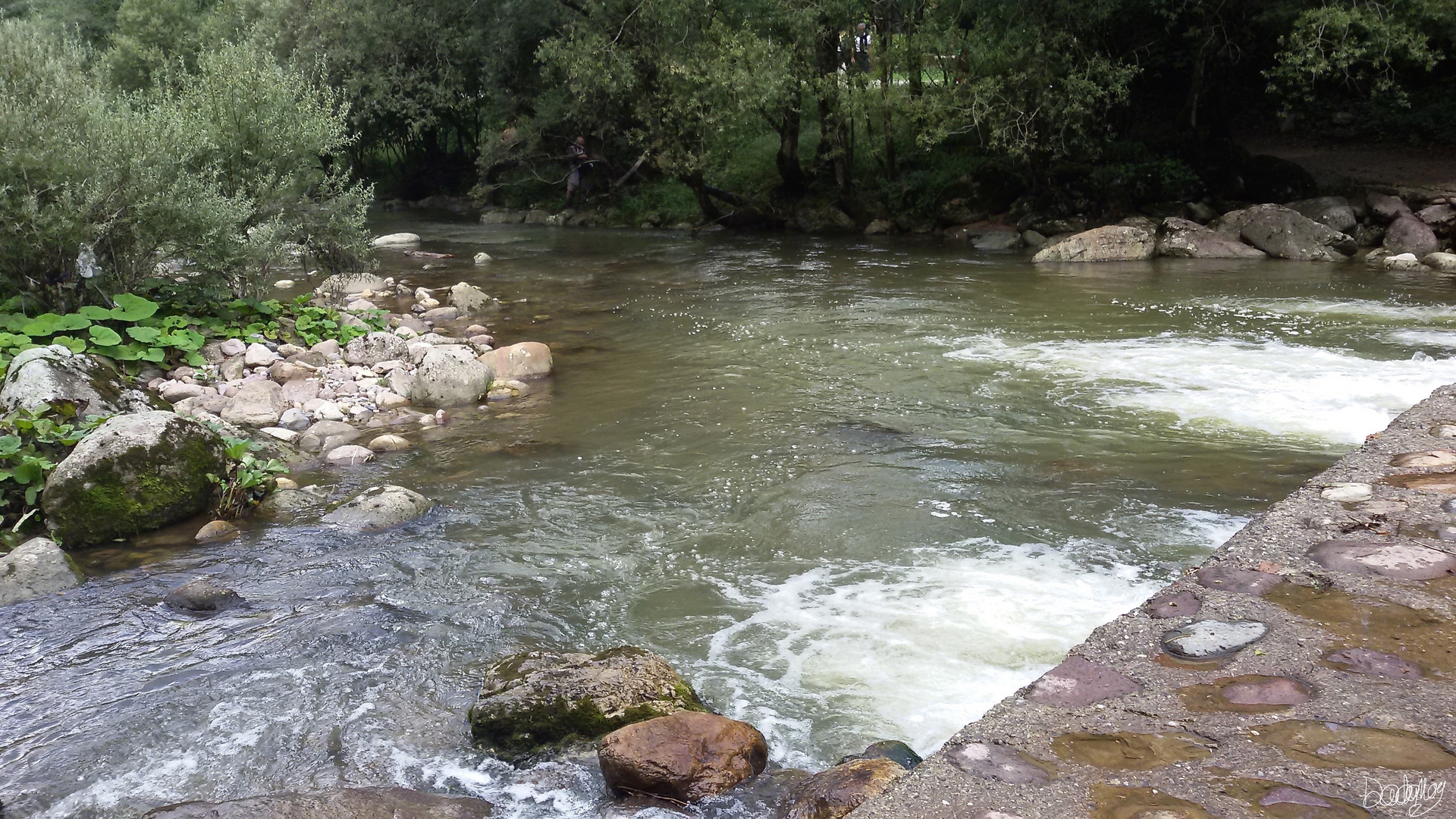 Corso d'acqua Val Brembana