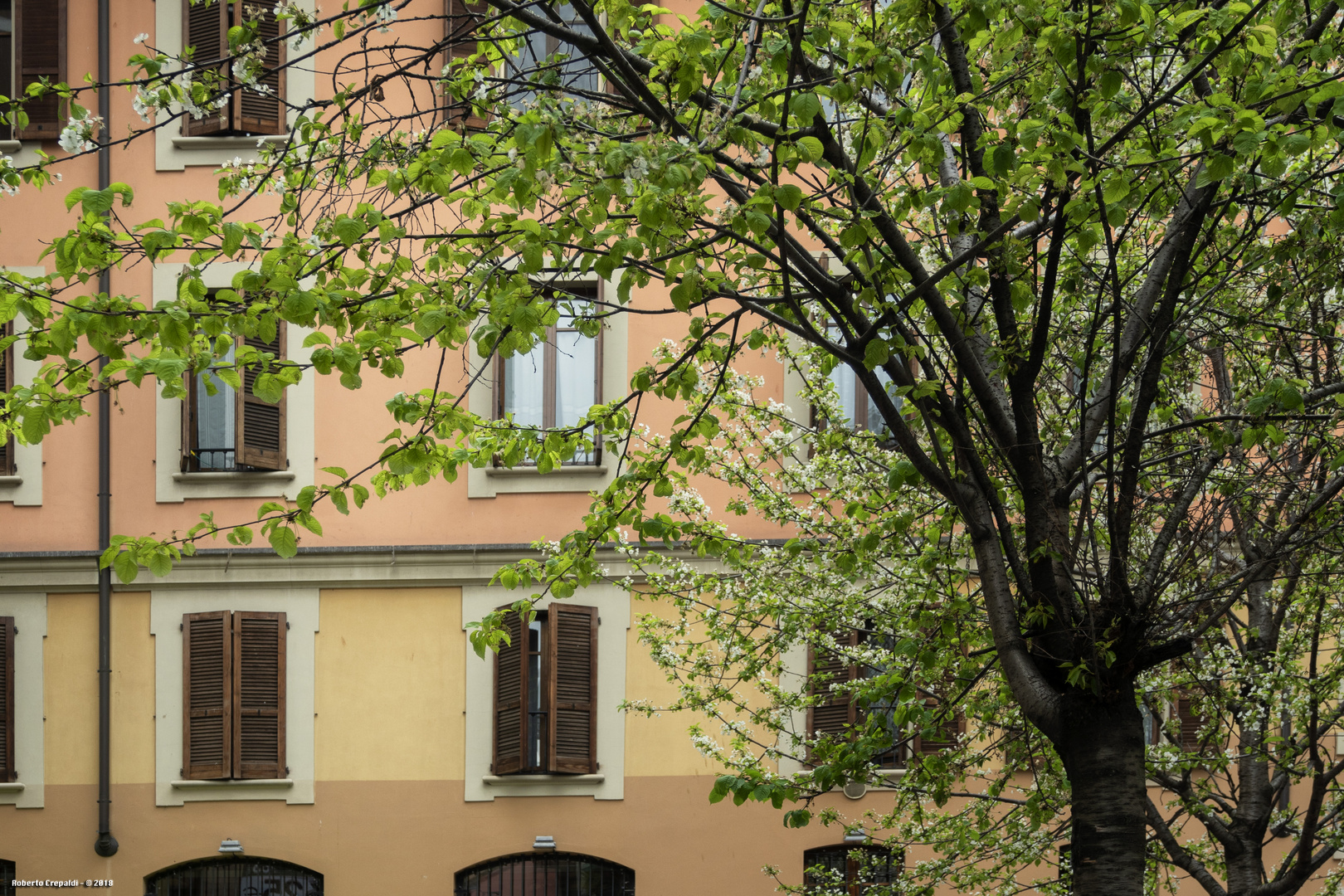 Corso Garibaldi, Milano