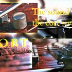 Cort guitars