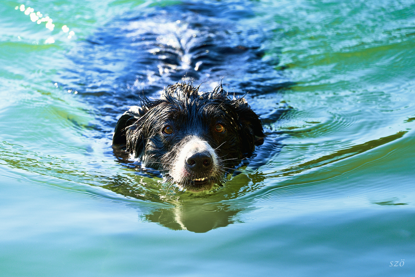 Cortando el agua