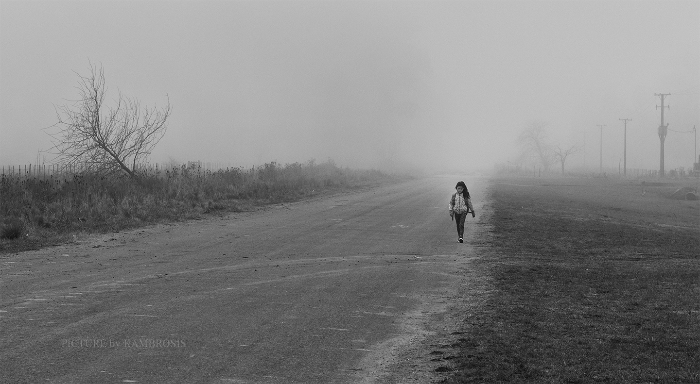 Cortando la niebla