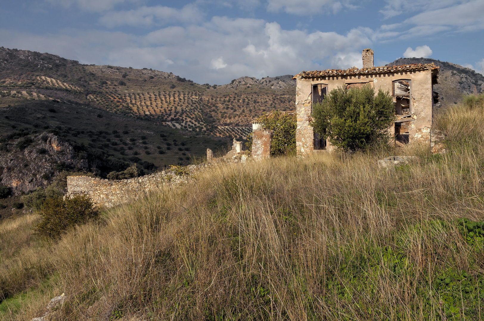 CORTIJO