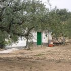 Cortijo Andalusien Spanien