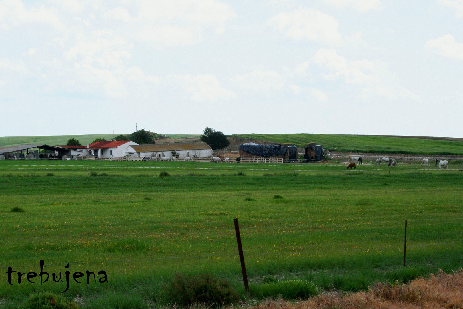 cortijo en trebujena