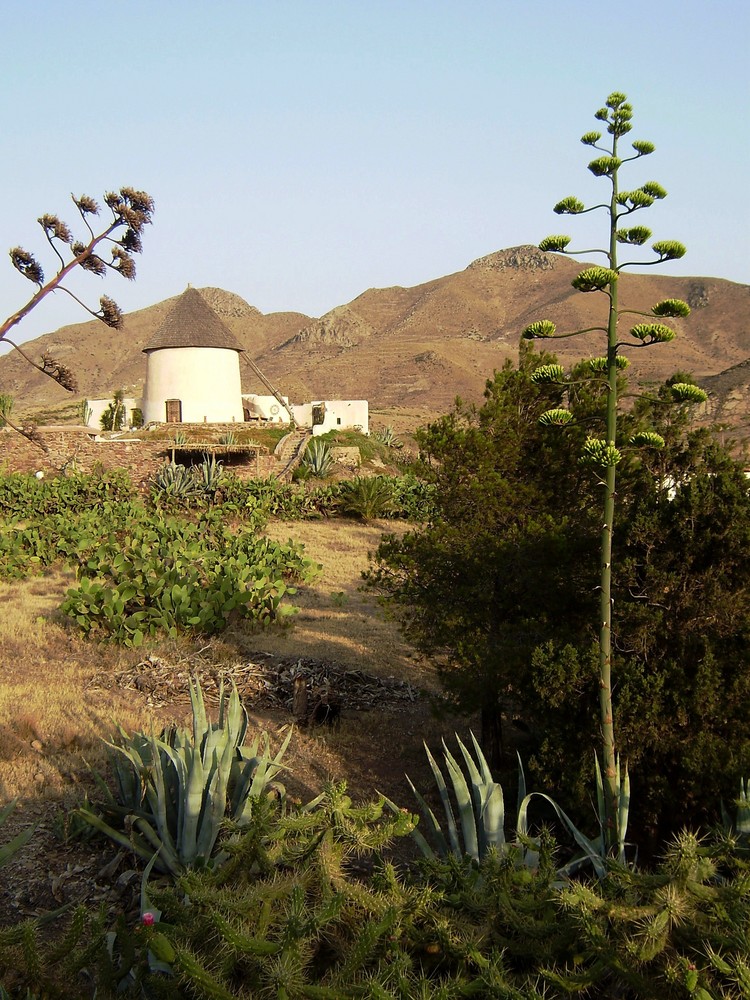 Cortijo/Molino de Nijar