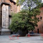 Cortile del Broletto, Pavia