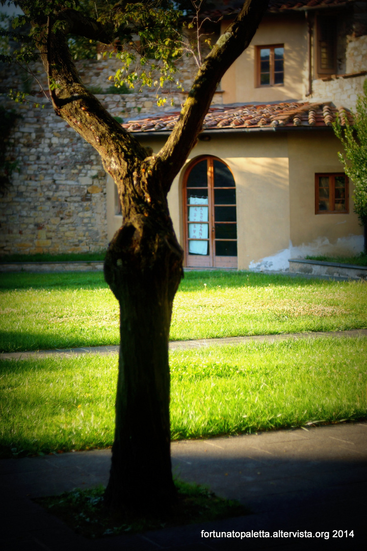 Cortile di casa