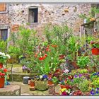 CORTILE ESAGERATO ad ANGHIARI