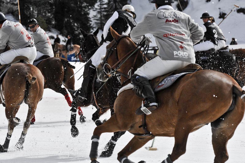 Cortina Winter Polo 2008