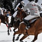 Cortina Winter Polo 2008