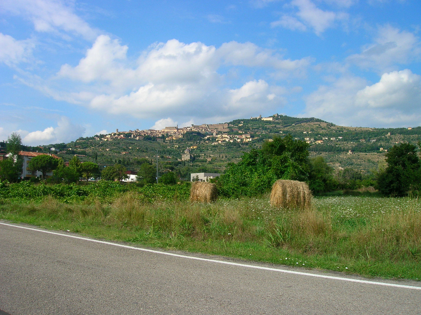 Cortona