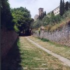 Cortona, Aufstieg zur Santuario di S. Margherita