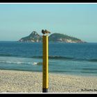 Corujas Cariocas na Praia!? - Cariocas Owls on the Beach!? / Series: Silhoettes of Rio.